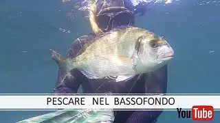 pescasub : Pescare nel BASSOFONDO di Santa Marinella