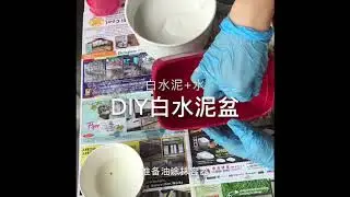 白水泥盆