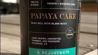 Veritas PAPAYA CAKE 🎂 Papaya x Wedding Cake