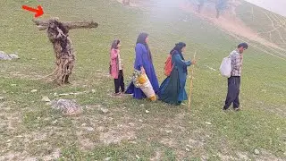Nomads and cave dwellers on the day of grass gathering and care