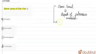 Stone canal of Star Fish is