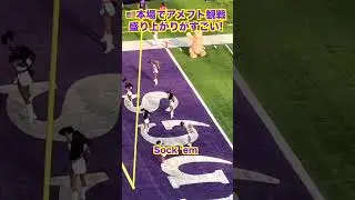 【SKOL Vikings】Minnesota Viking Fight Song with Lyrics 🏈
