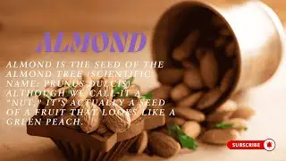 What Happens If You Eat Almonds Every Day? #almonds #almondbenefits #healthynuts #superfoods
