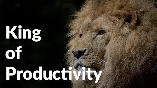 The Alchemy of Productivity | 4 Tricks to Fuel your Inner Intention