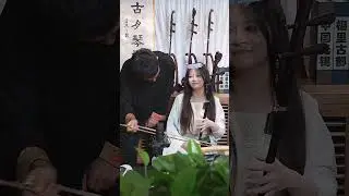#赛马 #二胡 #二胡演奏 #二胡音樂 #民乐也疯狂