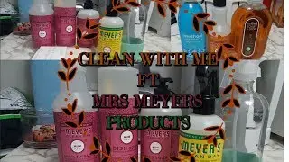 CLEAN WITH ME | MRS MEYERS CLEANING PRODUCT | GROVE COLLABORATIVE