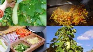 Cooking Garden Bottle Gourd with Anchovies | Lauka ra Maccha ko Tarkari |
