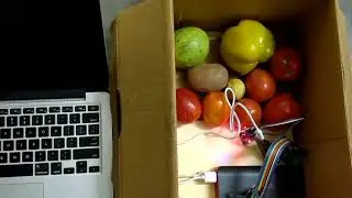 Demo - AI Harvest - The U-Team