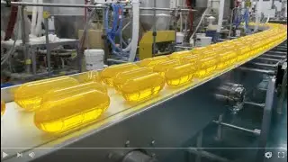 Inside the Modern Fish Oil Factory | From Fresh Catch to Health Supplements (Full Process)