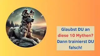 10 Mythen &uuml;ber positives Hundetraining &ndash; F&auml;llst DU noch drauf rein? mit Anarchiehund-Song