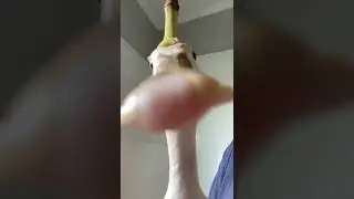 Banana hat