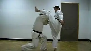 Hiko Ryu Taijutsu Basic Training 18-1 Mawashigerisabaki Kiyoshi Takeuchi