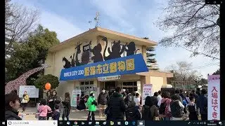 ⁴ᴷ⁶⁰【姫路市立動物園/2019】2/24(日)