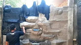Proses pengecatan relief dinding kolam!! Pool wall relief painting process