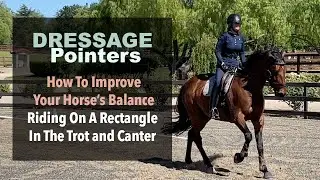 Dressage Pointers: How To Improve Your Horse&rsquo;s Balance Riding On A Rectangle In The Trot and Canter