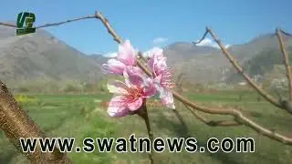 Swat Village Parri Documentary Video