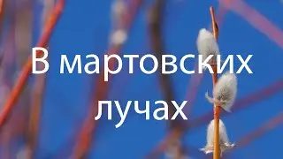 В Мартовских лучах, In the March Rays