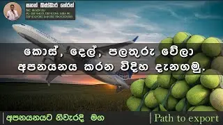 කොස්, දෙල්, පලතුරු, වේලලා අපනයනය කරන විදිහ ඉගෙනගමු,/ Path to Export