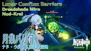 【原神】月集バリア/ナドクライ/厄影の沼地 [Lunar Conflux Barrier,Dreadshade Mire,Nod-Krai,Genshin,94259]