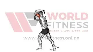 Band Overhead Single Arm Triceps Extension V2 Demo