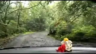 Andharban tamhini ghat Nature view Mulish dam road 