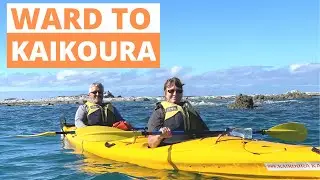 Ward Beach to Kaikoura