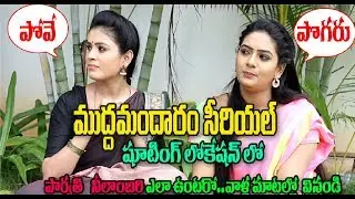 ముద్దమందారం ||  సీరియల్ లో పార్వతి -నీలాంబరి ఎలా వుంటారో చుడండి || #వహ్వా ఛానల్||