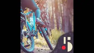La belle histoire du v&eacute;lo au Qu&eacute;bec