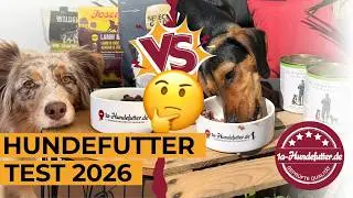 Bestes Hundefutter? 🐶 Der große Hundefutter Test 2026 | 1a-hundefutter.de
