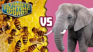 ELEPHANTS VS. BEES: Who is SMARTER?! | ULTIMATE FIGHTING WORDS