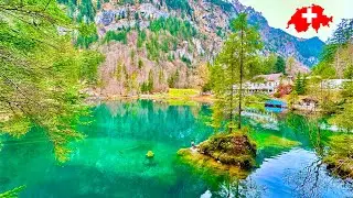 Autumn at Blausee Switzerland | One of the Most Beautiful Mountain Lakes in the World