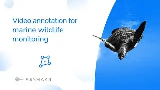 Video annotation for marine wildlife monitoring