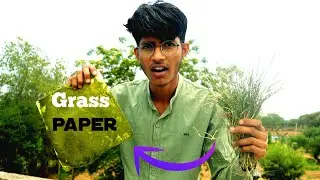 Eco-Friendly Paper Alternatives: Making Grass and Algae Paper | Stupid Experiment