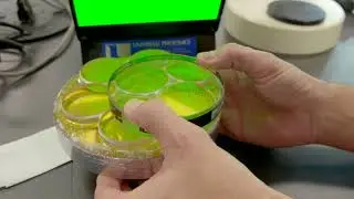 Cold Blocking Technique