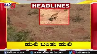 TV5 Kannada Headlines 5PM | 21-1-2025 | Karnataka Breaking News| Political Updates | Trending News