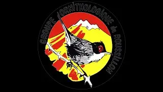 2020 - Groupe Ornithologique du Roussillon - GOR66 : un territoire, des oiseaux et des b&eacute;n&eacute;voles