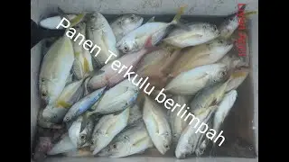 Mancing Terkulu