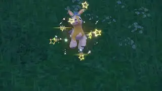 PEV : Tiboudet (Mudbray) Shiny 7