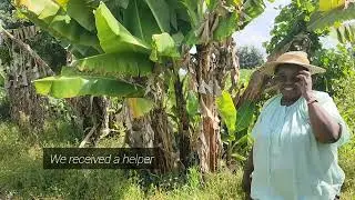 Harvesting Bananas and Sweet Potatoes | Nyeri Farm Update