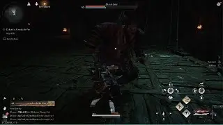 Pesky RATS!