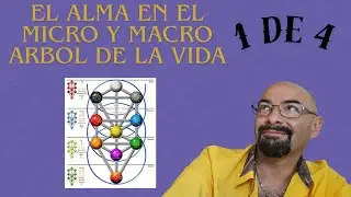 ALMA MACRO Y MICRO C&Oacute;SMICA  EN EL &Aacute;RBOL  DE LA VIDA 1 de 4