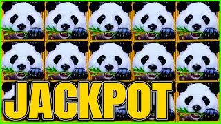 We Finally WON JACKPOT on Panda Magic Dragon Link Slot