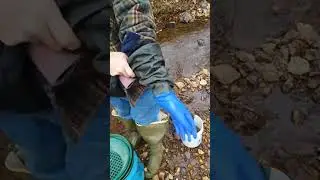 GARNETS & GOLD!!! Live! Bent Fork #gold #goldmining #goldpanning #goldprospecting