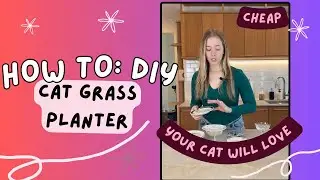 Grow Cat Grass at Home! Easy DIY Tutorial