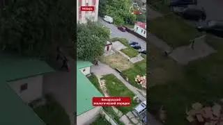 Житель #мозырь обратил внимание на экологическую безграмотность своих соседей  #беларусь #belarus