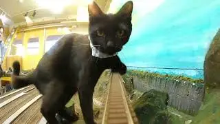 Would you still want to take this train under these circumstances?