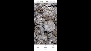Medieval Coins Discovered in Germany! #news