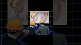 The Safest And Most Unique Nests#shorts#trending#facts #nest#yt#ytshorts#subscribe #viralvideos