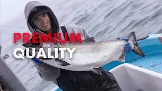 This is your salmon - Wild BC Salmon