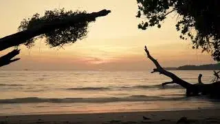 Serene Ocean Sunset &bull; Perfect for Relaxation & Meditation